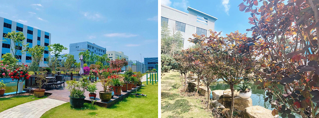 植樹節|守護綠色家園的秘密武器!