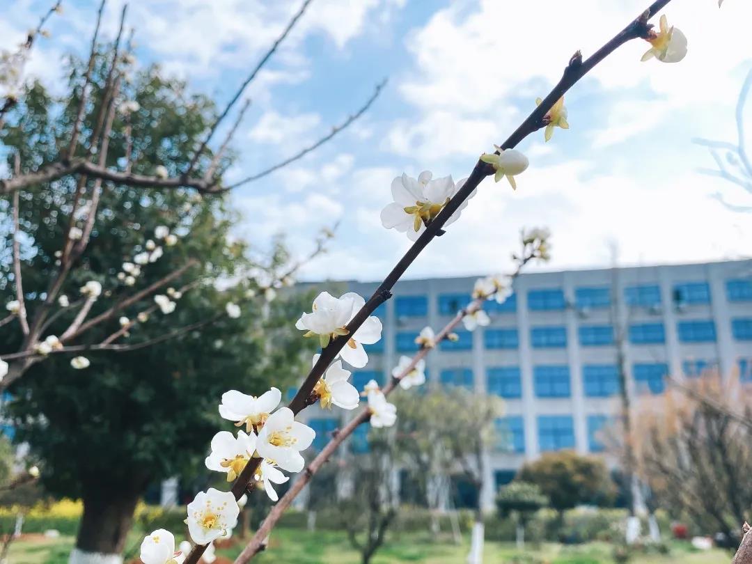 風(fēng)景這邊獨好!東大環(huán)境美景一覽,請查收